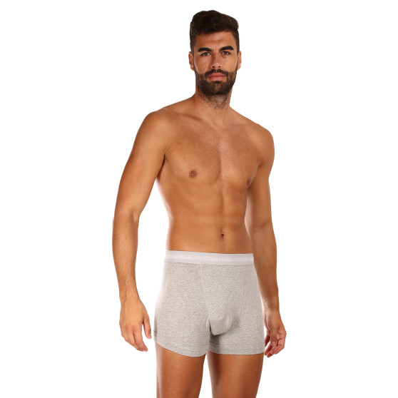 3PACK meeste bokserid Calvin Klein hall (U2662G-080)