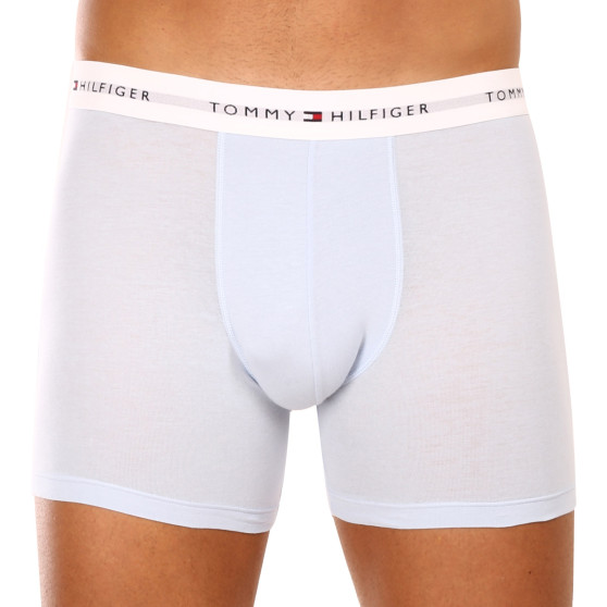 3PACK meeste bokserid Tommy Hilfiger mitmevärviline (UM0UM02941 0W8)