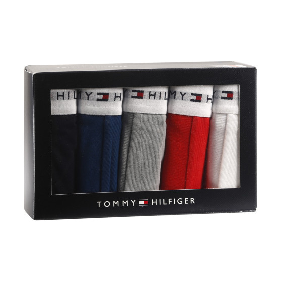 5PACK meeste bokserid Tommy Hilfiger mitmevärviline (UM0UM02767 0YW)