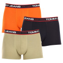 3PACK meeste bokserid Tommy Hilfiger mitmevärviline (UM0UM02968 0SP)