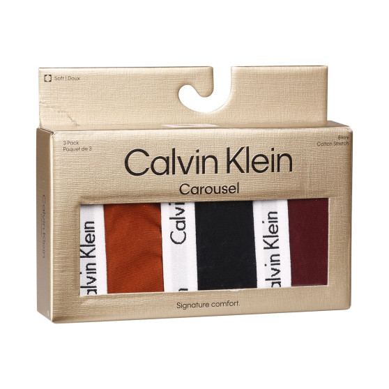 3PACK naiste aluspüksid Calvin Klein mitmevärviline (QD5146E-HVT)