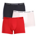 3PACK meeste bokserid Tommy Hilfiger mitmevärviline (UM0UM02203 0WS)