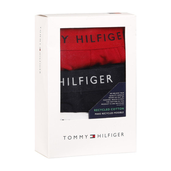 3PACK meeste bokserid Tommy Hilfiger mitmevärviline (UM0UM02203 0WS)