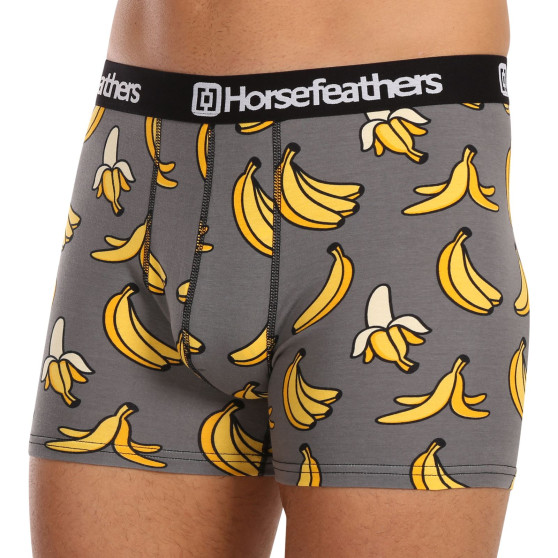 Meeste bokserid Horsefeathers Sidney Bananas (AM164L)