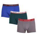 3PACK meeste bokserid Tommy Hilfiger mitmevärviline (UM0UM03007 0UF)