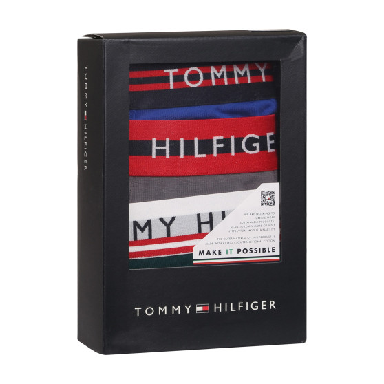 3PACK meeste bokserid Tommy Hilfiger mitmevärviline (UM0UM03007 0UF)