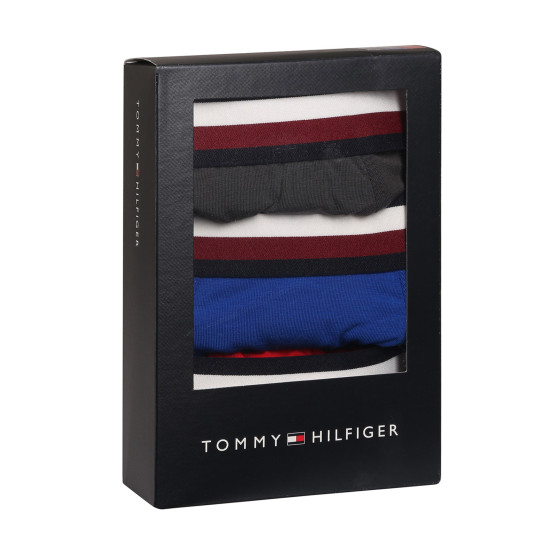 3PACK meeste bokserid Tommy Hilfiger mitmevärviline (UM0UM03035 0UG)