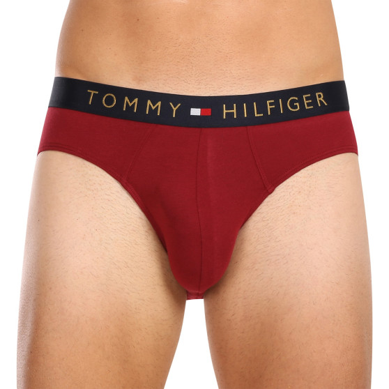 5PACK meeste aluspüksid Tommy Hilfiger mitmevärvilised (UM0UM03037 0WJ)