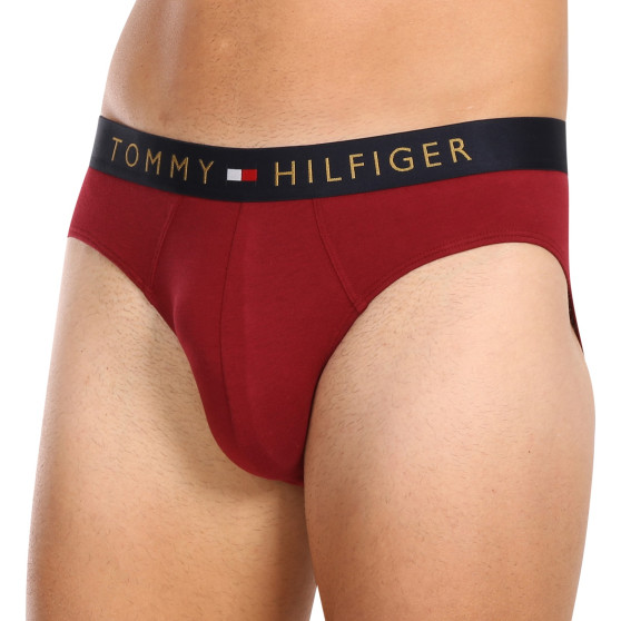 5PACK meeste aluspüksid Tommy Hilfiger mitmevärvilised (UM0UM03037 0WJ)