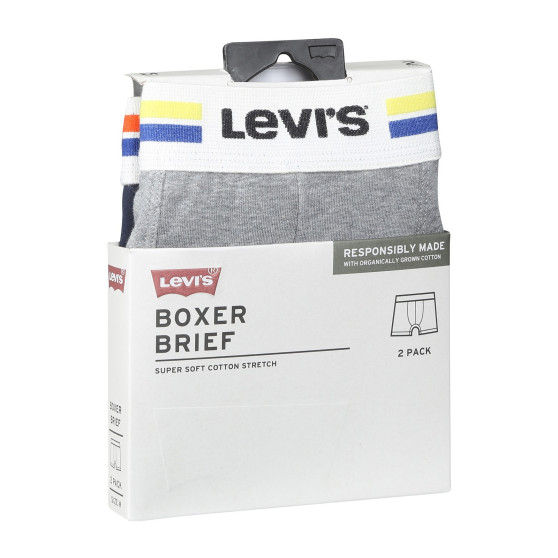 2PACK meeste bokserid Levis mitmevärviline (701222843 009)