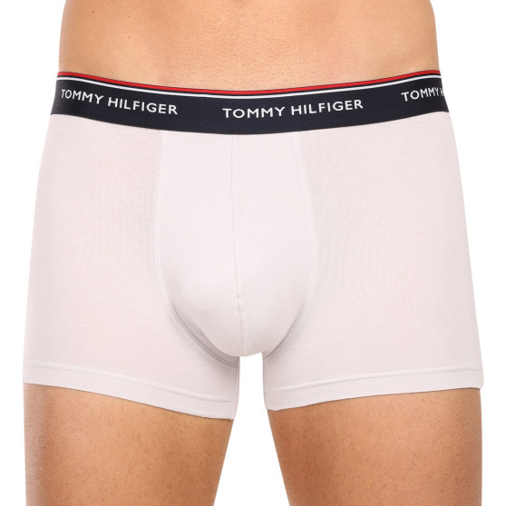 3PACK meeste bokserid Tommy Hilfiger mitmevärviline (1U87903842 0Y0)