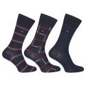 3PACK meeste sokid Tommy Hilfiger mitmevärvilised (701224445 001)