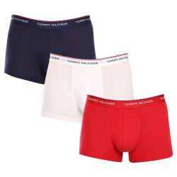 3PACK meeste bokserid Tommy Hilfiger mitmevärviline (1U87903842 611)