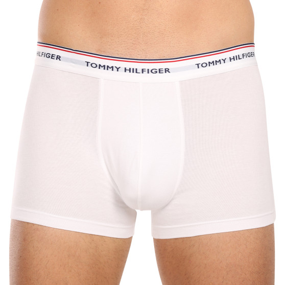 3PACK meeste bokserid Tommy Hilfiger mitmevärviline (1U87903842 611)