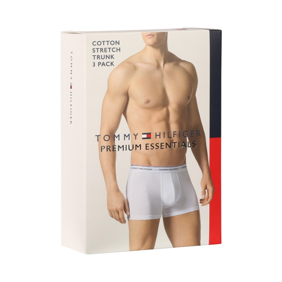 3PACK meeste bokserid Tommy Hilfiger mitmevärviline (1U87903842 611)