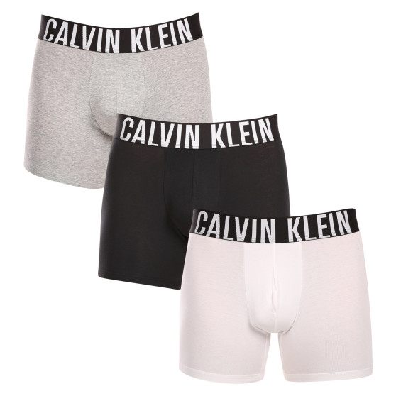 3PACK meeste bokserid Calvin Klein mitmevärviline (NB3609A-MP1)