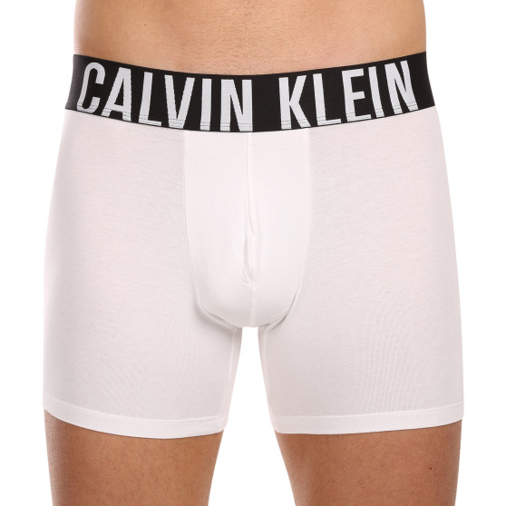 3PACK meeste bokserid Calvin Klein mitmevärviline (NB3609A-MP1)