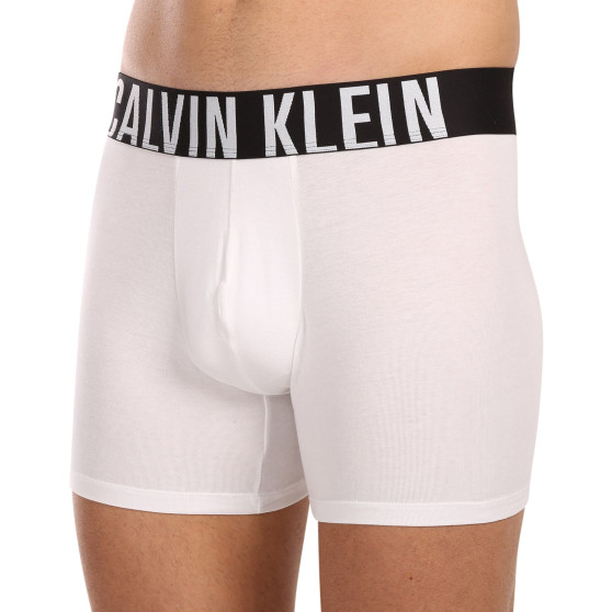 3PACK meeste bokserid Calvin Klein mitmevärviline (NB3609A-MP1)