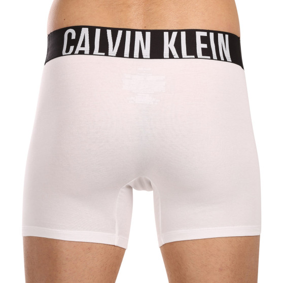 3PACK meeste bokserid Calvin Klein mitmevärviline (NB3609A-MP1)