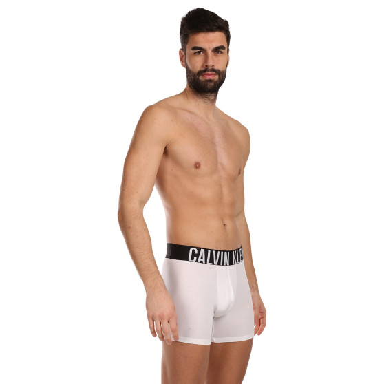 3PACK meeste bokserid Calvin Klein mitmevärviline (NB3609A-MP1)