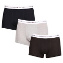 3PACK meeste bokserid Tommy Hilfiger mitmevärviline (UM0UM02761 0YV)