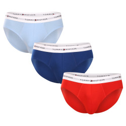 3PACK meeste aluspüksid Tommy Hilfiger mitmevärvilised (UM0UM02764 0XZ)