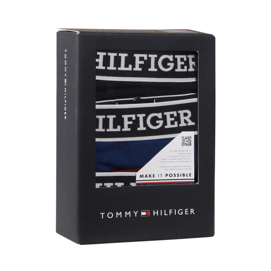 3PACK meeste bokserid Tommy Hilfiger mitmevärviline (UM0UM03185 0SX)