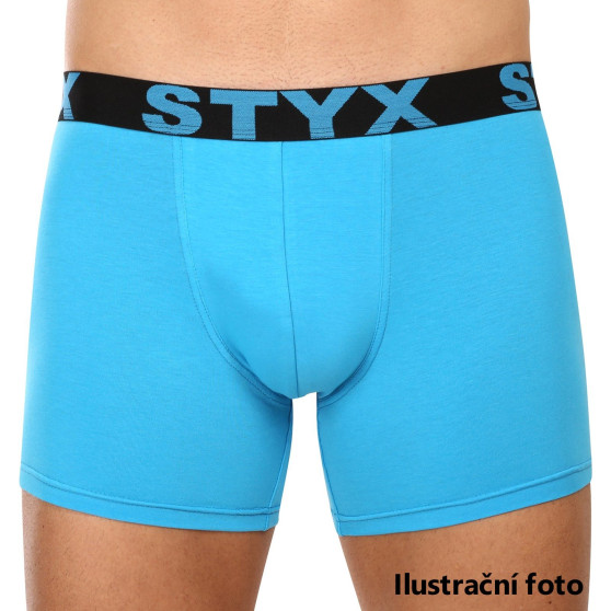 Meeste bokserid Styx long sport elastic - igakuine aastatellimus