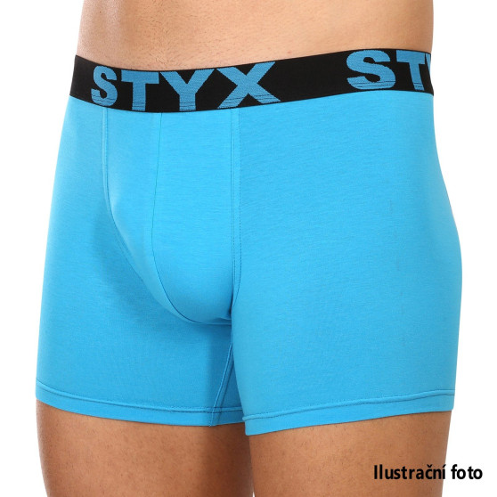 Meeste bokserid Styx long sport elastic - igakuine aastatellimus