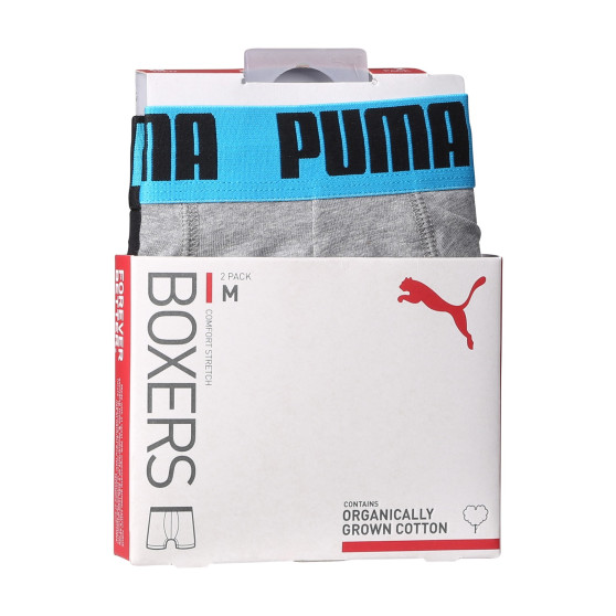 2PACK meeste bokserid Puma mitmevärviline (701226387 019)