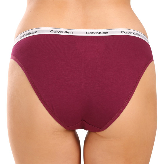 3PACK naiste aluspüksid Calvin Klein mitmevärviline (QD5207E-NP6)