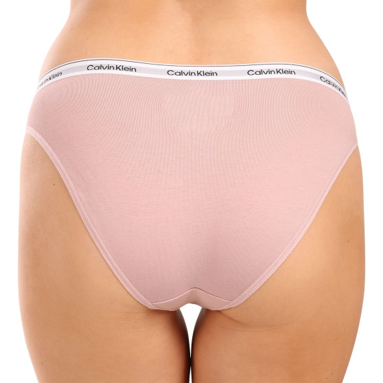 3PACK naiste aluspüksid Calvin Klein mitmevärviline (QD5207E-NP6)