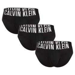 3PACK meeste aluspüksid Calvin Klein must (NB3607A-UB1)