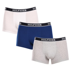 3PACK meeste bokserid Tommy Hilfiger mitmevärviline (UM0UM03185 0YZ)