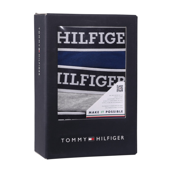 3PACK meeste bokserid Tommy Hilfiger mitmevärviline (UM0UM03185 0YZ)