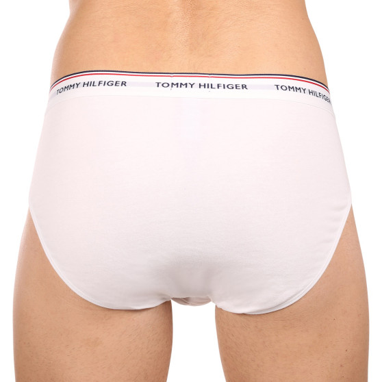 3PACK meeste aluspüksid Tommy Hilfiger mitmevärvilised (1U87903766 004)