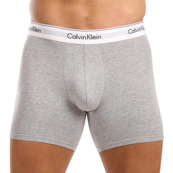 3PACK meeste bokserid Calvin Klein mitmevärviline (NB2381A-N2I)