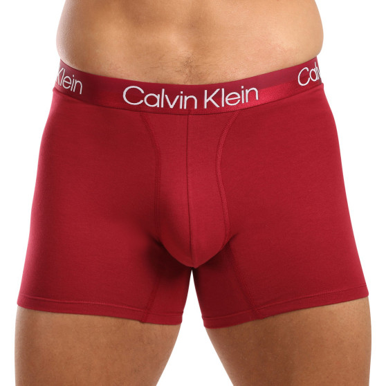 3PACK meeste bokserid Calvin Klein mitmevärviline (NB2971A-MCI)