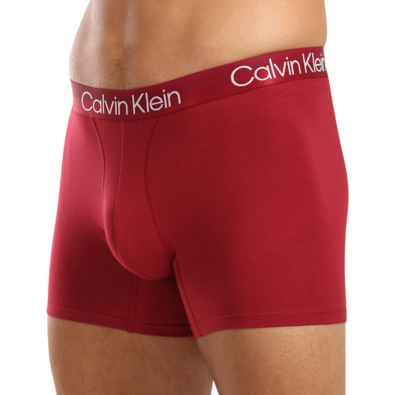 3PACK meeste bokserid Calvin Klein mitmevärviline (NB2971A-MCI)