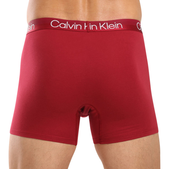 3PACK meeste bokserid Calvin Klein mitmevärviline (NB2971A-MCI)