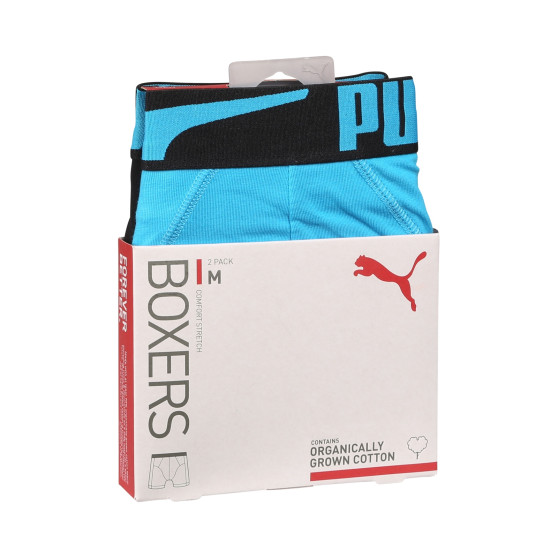 2PACK meeste bokserid Puma mitmevärviline (701225876 002)