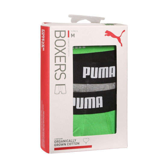 3PACK meeste bokserid Puma mitmevärviline (701226820 008)