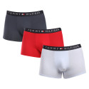 3PACK meeste bokserid Tommy Hilfiger mitmevärviline (UM0UM03180 0R1)