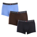 3PACK meeste bokserid Tommy Hilfiger mitmevärviline (UM0UM03180 0X0)